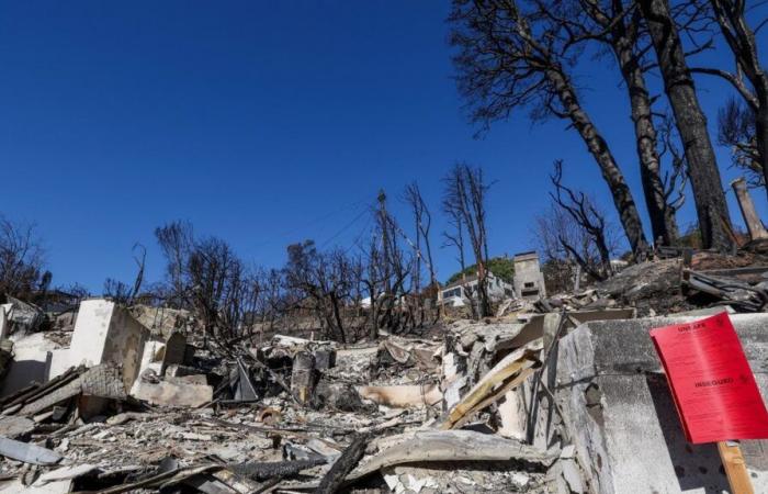 Between skepticism and hopes, Donald Trump is expected to be firmly awaited by the victims of fires in California