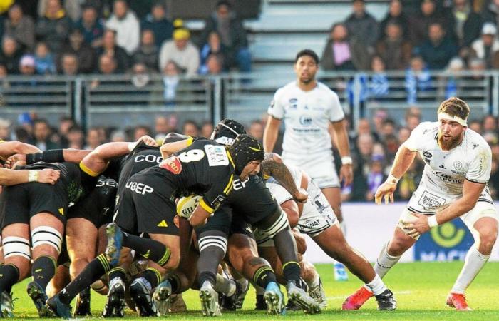 French Stadium – RC Vannes: John the Bautista Pedmonte, an absence that weighs at the RCV