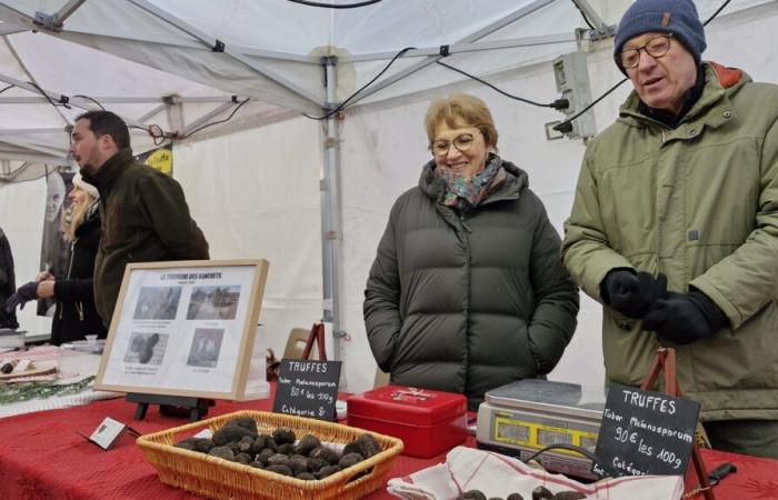 The booming truffle in Indre-et-Loire