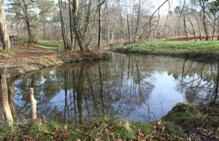 World Wetlands Day – Landes