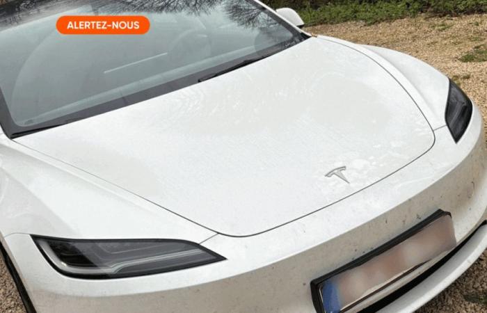 “More assistance, nothing”: two months after buying his Tesla, Olivier must already have it repaired