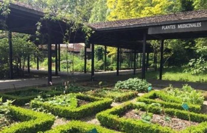 Île-de-France highlights its 45 remarkable gardens