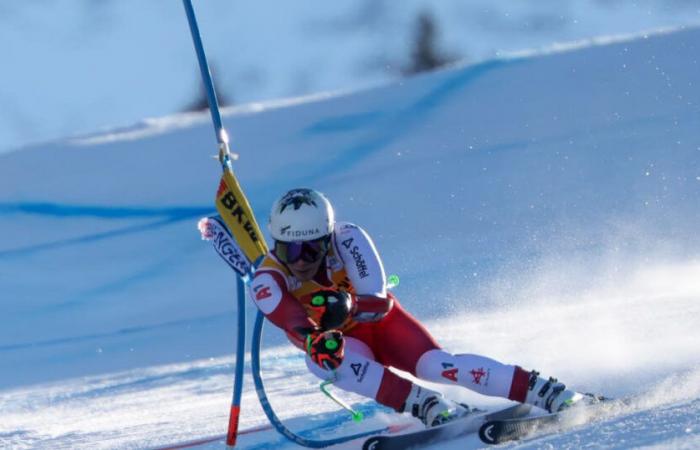 Alpine skiing – World Cup. Kitzbühel: Lukas Feurstein to open the Super-G, Nils allegre First French in the running, Kriechmayr renounces