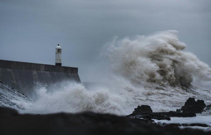 The respite will be short-lived: after Eowyn, the Floris storm will fall on the United Kingdom and France with gusts possibly exceeding 150 km/h