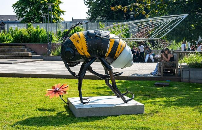 Namur: The monumental Kalbut animal sculptures will settle in permanently