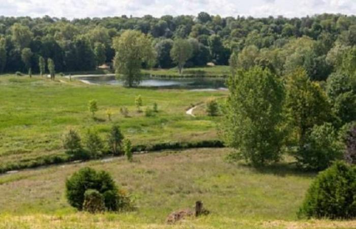 Île-de-France highlights its 45 remarkable gardens