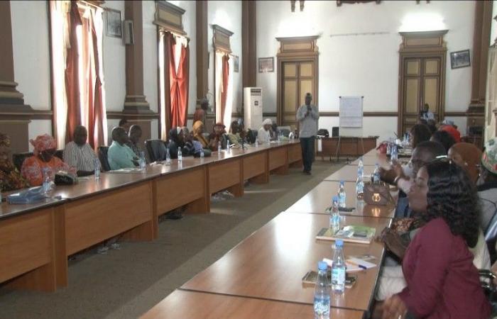 Senegal: capacity building workshop of civil society actors in Saint -Louis for transparent and inclusive climate governance – VIVAFRIK