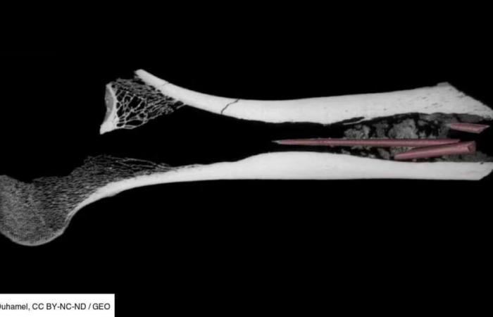 7,000 years ago, South African hunters were already creating complex deadly poisons