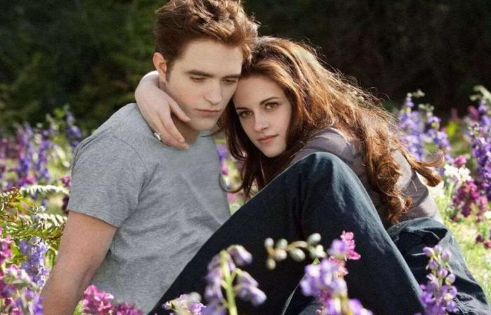 Robert Pattinson is surprised by persistent hatred towards Twilight