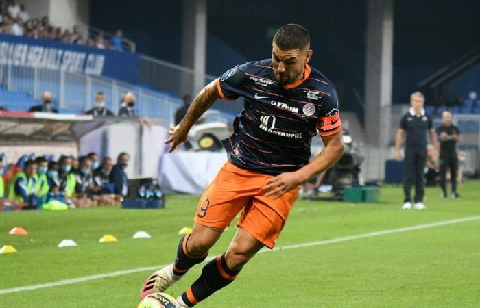 Toulouse – MHSC: “Andy Delort is in the list of 4 or 5 players that we targeted with the recruitment unit”, assures Jean-Louis Gasset