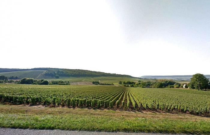 Marne: champagne sold less in 2024