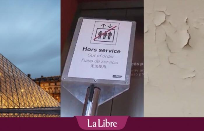 Floods, damage, dilapidated, the Louvre is in bad shape: “This endangers the state of conservation of the works” (video)