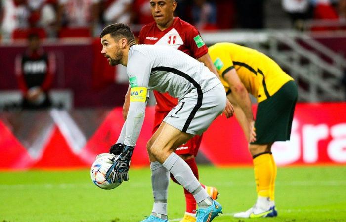 “Hyper motivated”, Mathew Ryan brings “a real plus” says Will Still