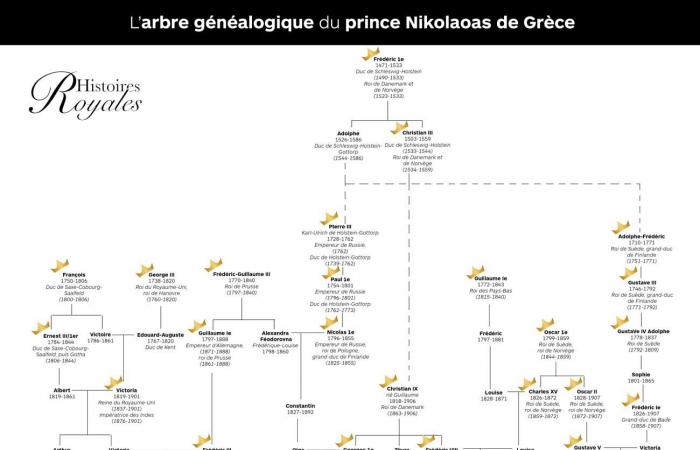 The prince Nikolaos ready to remarry with the heiress Chrysí Vardinogianni?