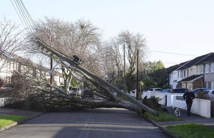 The “cyclonic bomb” Éowyn hit Ireland and the United Kingdom before arriving in France