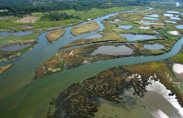 Landes of Gascogne Regional Natural Park