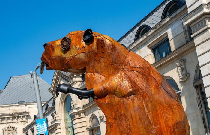 Namur: The monumental Kalbut animal sculptures will settle in permanently