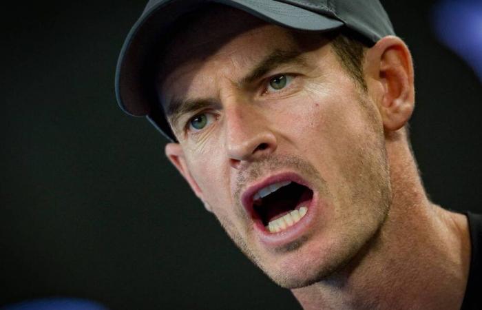 Australian Open > Andy Murray, Djokovic coach: “It's an unfortunate way to end the tournament. But the match Novak played against Alcaraz was incredible, it was impressive to watch up close”