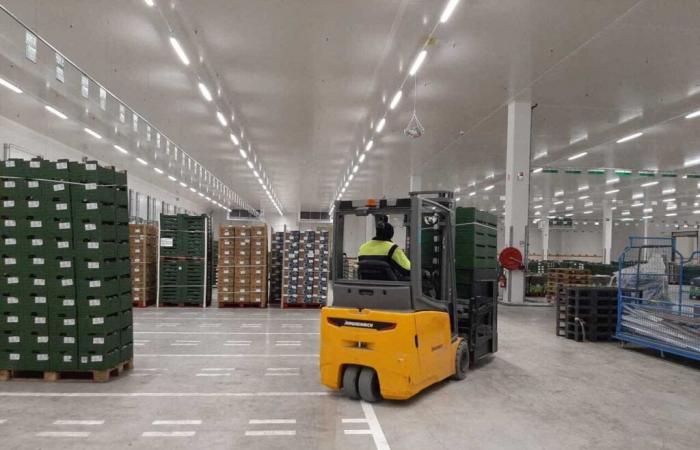 Lidl recruits in Yvelines to run its largest logistics platform in Europe