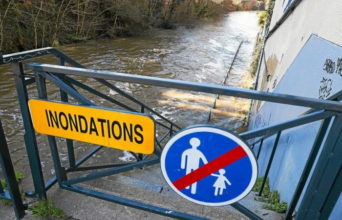 Near Rennes, two rivers go on orange alert for the risk of floods