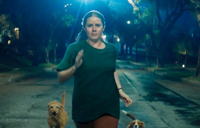 “Nightbitch” on Disney+: Amy Adams bursts the screen in a feminist fable full of bite – Télérama.fr