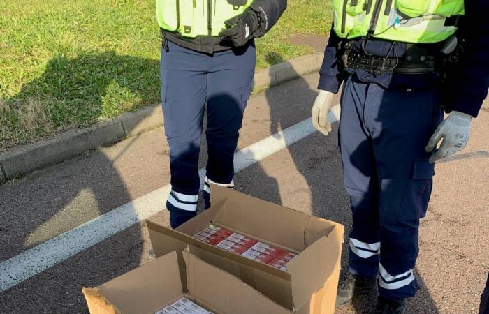 NIÈVRE: Seizure of nearly a thousand packets of contraband cigarettes on the A77