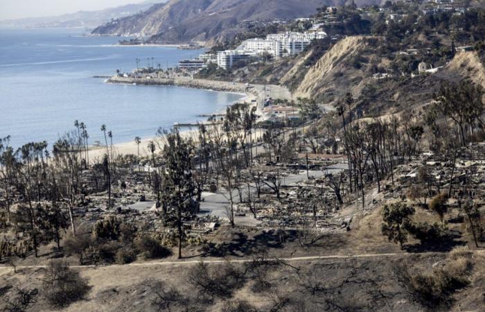 RTL Info – Fact check: fires in Los Angeles: environmental policies, targets of disinformation