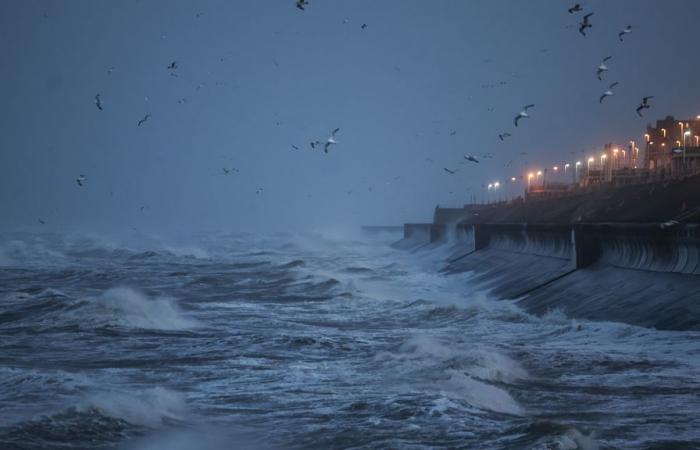 Hundreds of thousands of households in Ireland without power, flights cancelled