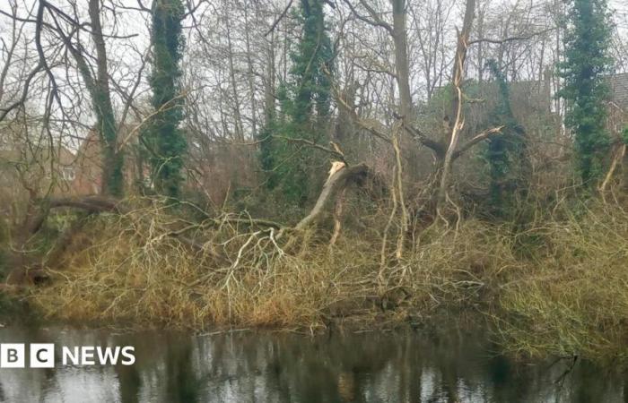 Storm Éowyn causes disruption across West Midlands