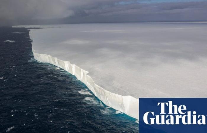 World’s largest iceberg drifts threateningly toward remote island of penguins and seals | Antarctica