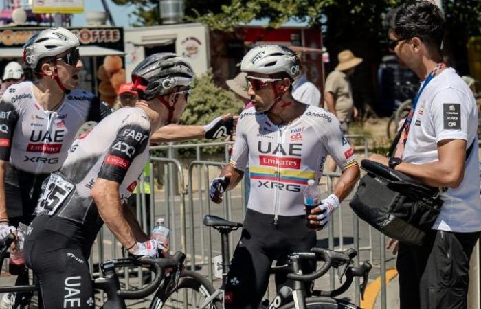 Cycling. Tour Down Under – Fabio Baldato: “Coquard… No question of contesting…”