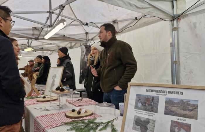 The booming truffle in Indre-et-Loire