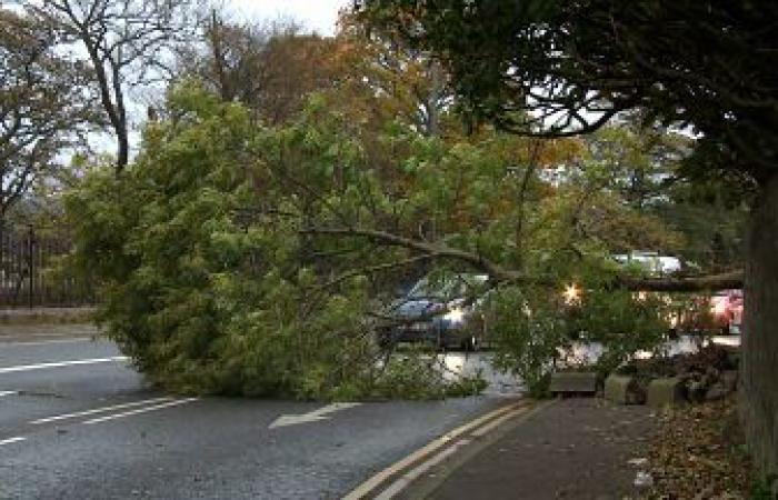 Supermarkets across Scotland shut amid Storm Eowyn red alert – full list