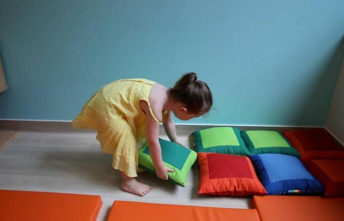 A crèche closed in an emergency in Lyon after the discovery of dangerous practices for children