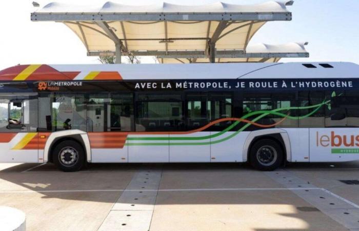 A bus driver violently assaulted last night in Marseille