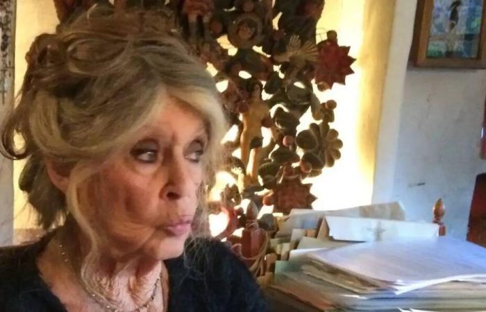 “It’s my name that you are sullying”: Brigitte Bardot rejects attacks against her Foundation