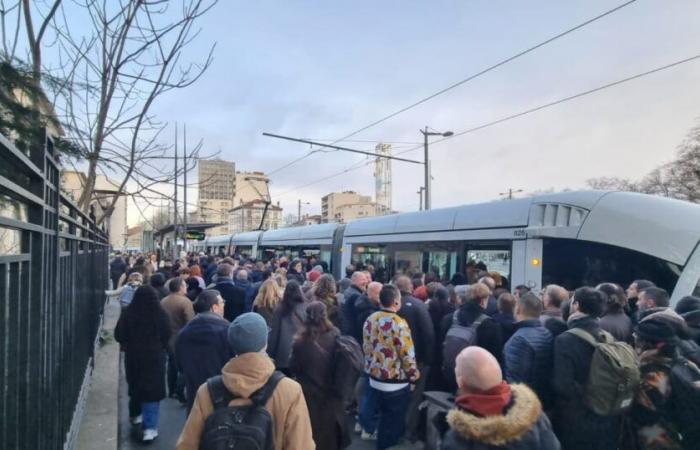 despite additional trams, it's a hassle in transport