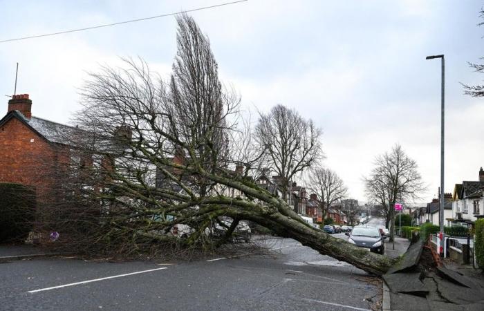 Storm Éowyn is currently demanding two lives, record winds of 184 kilometers per hour measured in Ireland