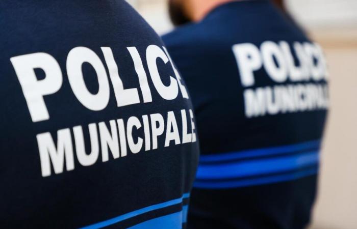 A municipal police officer attacked in Pau for having fined a motorist in a space reserved for the disabled: broken collarbone and 30 days of arrest