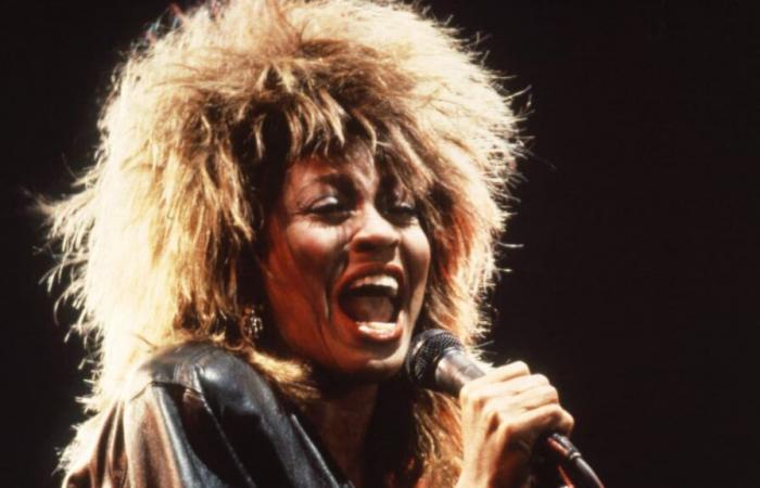 An unprecedented song by Tina Turner unveiled