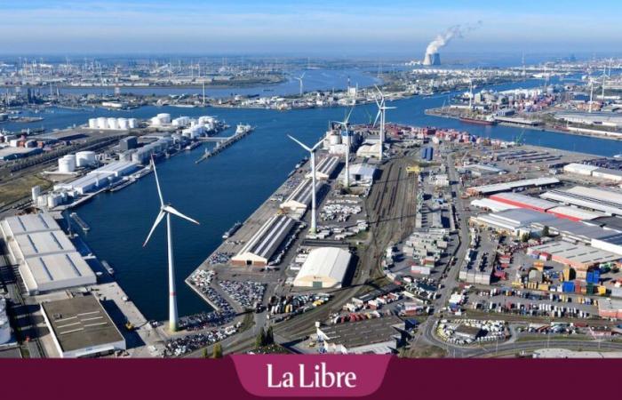 A possible new major investment for the port of Antwerp