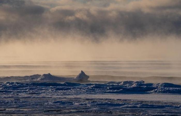 The Côte-Nord polar vortex in photos