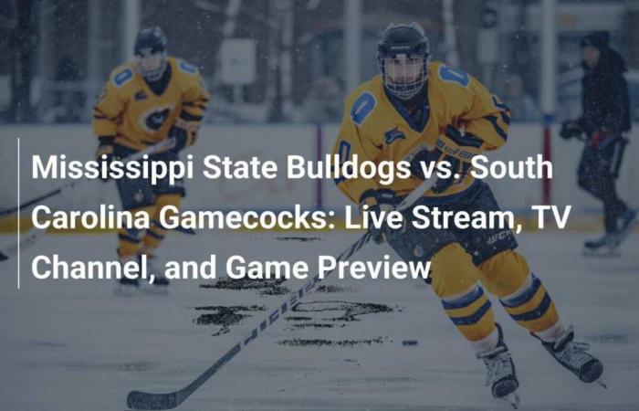 Mississippi State Bulldogs against South Carolina Gamecocks: live broadcast, TV channel and match preview