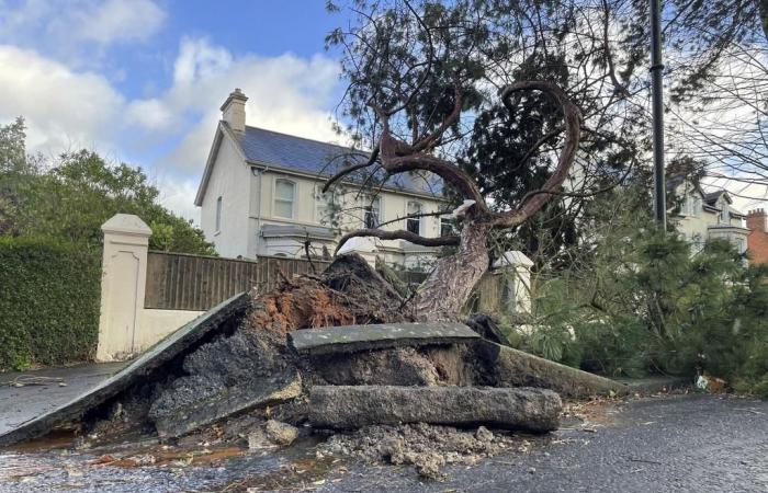 Winds Records: Storm Eowyn strikes Ireland and the United Kingdom