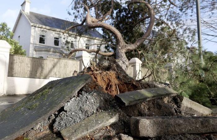 The “cyclonic bomb” Éowyn hit Ireland and the United Kingdom before arriving in France