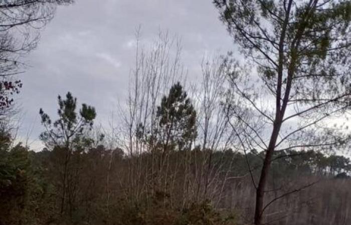 Lot-et-Garonne. This resident will think twice before throwing his garbage in the wild