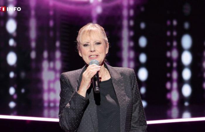 Dorothée back on TF1 for an exceptional evening: “I didn't think we had marked people so much”