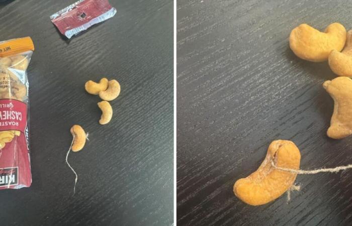 Costco: Canadian found a piece of rope in his cashew nut