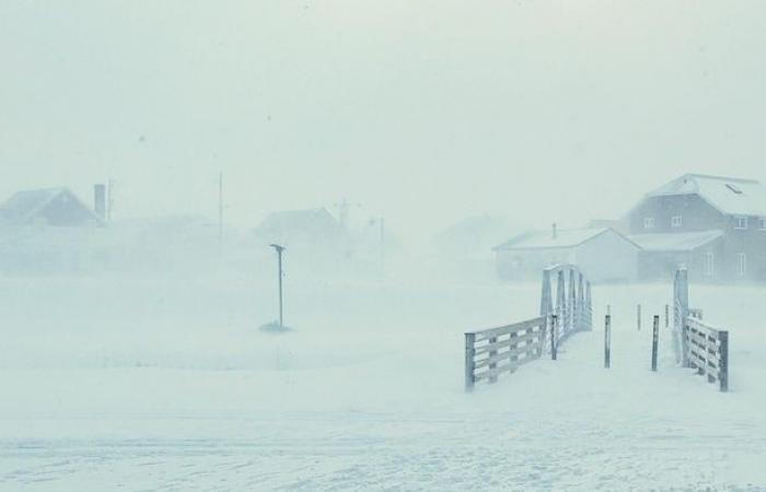 The Côte-Nord polar vortex in photos