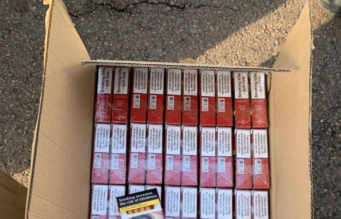 NIÈVRE: Seizure of nearly a thousand packets of contraband cigarettes on the A77